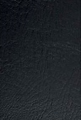 Puma-Schwarz