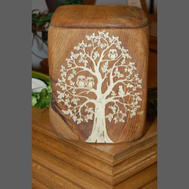 Owl Tree